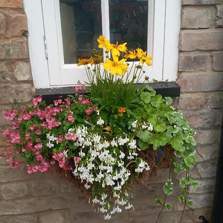 Delighful Self Catering In The Heart Of Glastonbury Bagian luar foto